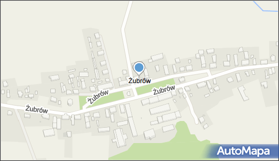 Żubrów, Żubrów - Inne