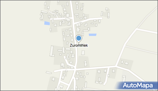 Żurominek, Żurominek - Inne