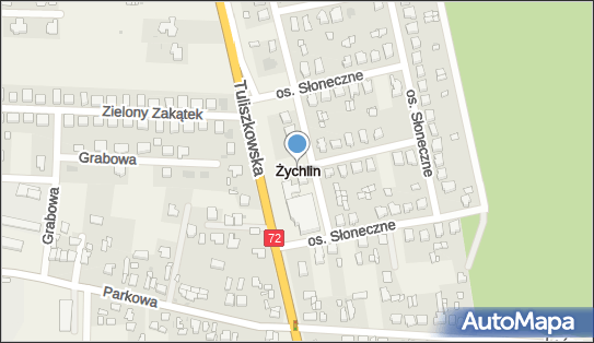 Żychlin (powiat pleszewski), Żychlin - Inne