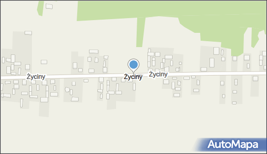 Życiny, Życiny - Inne