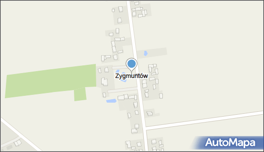 Zygmuntów (powiat łowicki), Zygmuntów - Inne