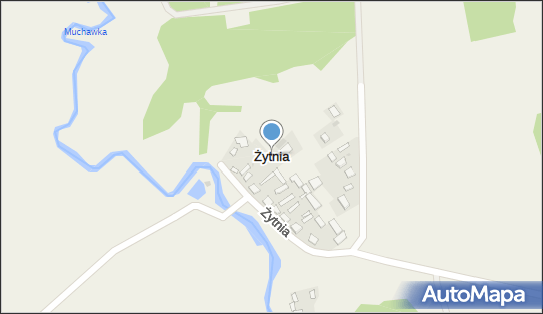 Żytnia, Żytnia - Inne