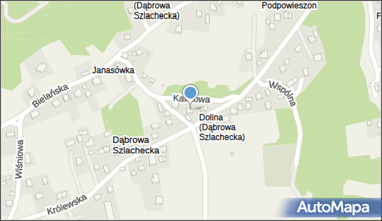 PaczkoPunkt InPost POP-DAA1, Królewska 75, Dąbrowa Szlachecka 32-070, godziny otwarcia