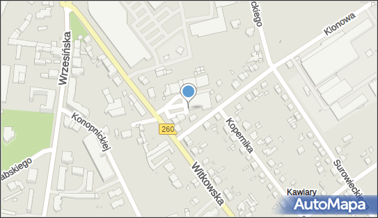 PaczkoPunkt InPost POP-GNI25, Witkowska 11, Gniezno 62-200, godziny otwarcia