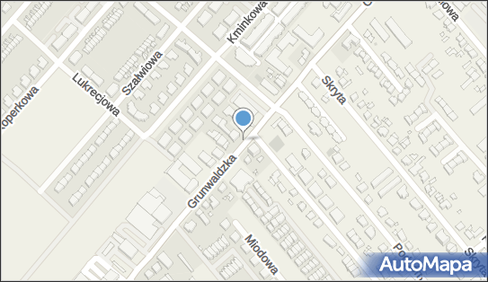 PaczkoPunkt InPost POP-PLW7, Grunwaldzka 489, Plewiska 62-064, godziny otwarcia