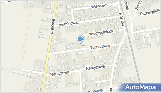 Inter Data Service - Serwis samochodowy, Tulipanowa 16, Żelistrzewo 84-100, numer telefonu