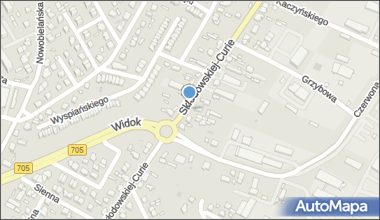 Inter Data Service - Serwis samochodowy, Skierniewice 96-100, numer telefonu