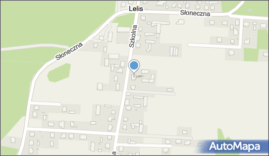 Inter Data Service - Serwis samochodowy, Szkolna 28, Lelis 07-402, numer telefonu