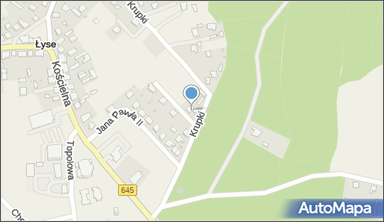 Inter Data Service - Serwis samochodowy, Kurpki 3, Łyse 07-437, numer telefonu