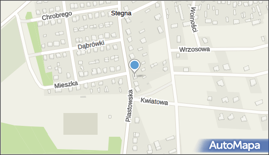 Inter Data Service - Serwis samochodowy, Piastowska 23, Stegna 06-323, numer telefonu