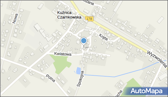 Inter Data Service - Serwis samochodowy, Spokojna 3 64-700, numer telefonu