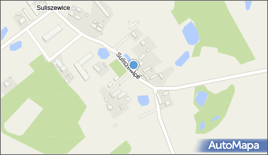 Kapliczka, Figura Świętych, Krzyż, Suliszewice 6, Suliszewice 73-150 - Kapliczka, Figura Świętych, Krzyż