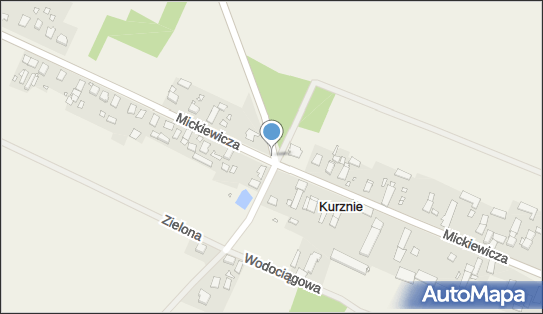 Kapliczka, Figura Świętych, Krzyż, Mickiewicza Adama 53, Kurznie 46-037 - Kapliczka, Figura Świętych, Krzyż