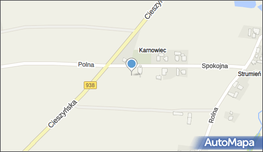 Kapliczka, Figura Świętych, Krzyż, Spokojna 4, Hażlach 43-419 - Kapliczka, Figura Świętych, Krzyż