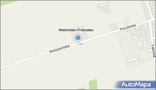 Kapliczka, Figura Świętych, Krzyż, Wolsztyńska, Wielichowo-Wieś 64-050 - Kapliczka, Figura Świętych, Krzyż