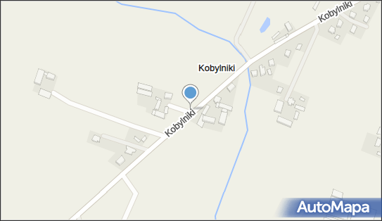 Kapliczka, Figura Świętych, Krzyż, Kobylniki 46A, Kobylniki 62-065 - Kapliczka, Figura Świętych, Krzyż