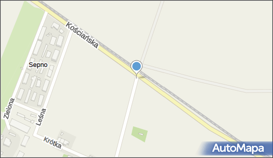 Kapliczka, Figura Świętych, Krzyż, Parkowa, Sepno 64-060 - Kapliczka, Figura Świętych, Krzyż