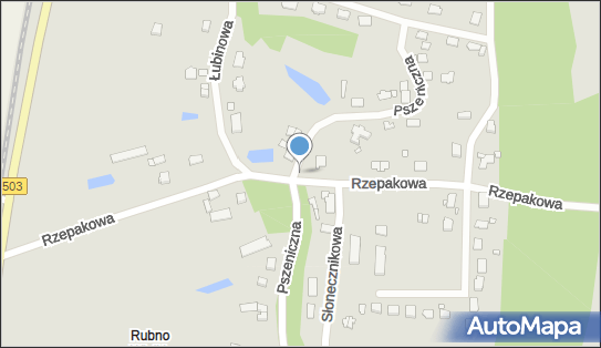 Kapliczka, Figura Świętych, Krzyż, Pszeniczna 45, Elbląg 82-300 - Kapliczka, Figura Świętych, Krzyż