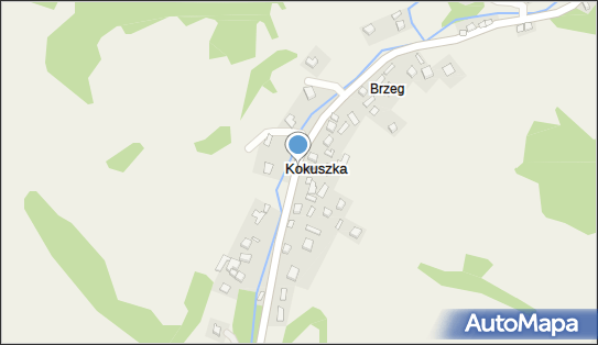 Kapliczka, Figura Świętych, Krzyż, Kokuszka 6, Kokuszka 33-350 - Kapliczka, Figura Świętych, Krzyż