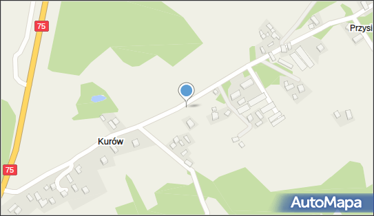 Kapliczka, Figura Świętych, Krzyż, Kurów 6, Kurów 33-311 - Kapliczka, Figura Świętych, Krzyż