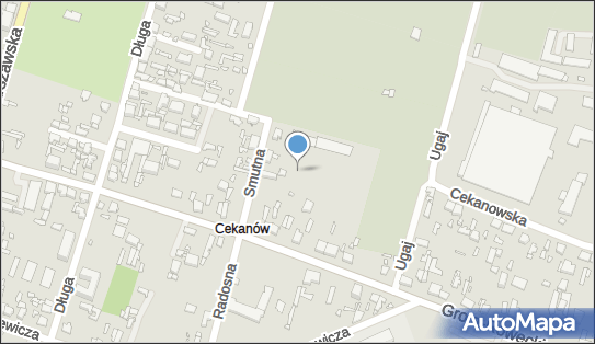 Kapliczka, Figura Świętych, Krzyż, Smutna 8, Tomaszów Mazowiecki 97-200 - Kapliczka, Figura Świętych, Krzyż