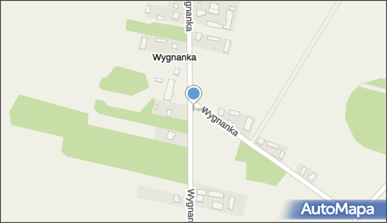 Kapliczka, Figura Świętych, Krzyż, Wygnanka, Wygnanka 21-302 - Kapliczka, Figura Świętych, Krzyż