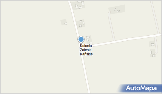 Kapliczka, Figura Świętych, Krzyż, Zalesie Kańskie 31B 22-171 - Kapliczka, Figura Świętych, Krzyż