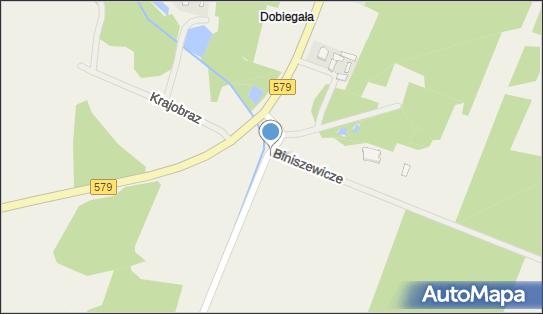 Kapliczka, Figura Świętych, Krzyż, Biniszewicze 96-325 - Kapliczka, Figura Świętych, Krzyż