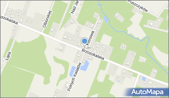 Kapliczka, Figura Świętych, Krzyż, Klonowa 1, Adamów-Wieś 96-325 - Kapliczka, Figura Świętych, Krzyż