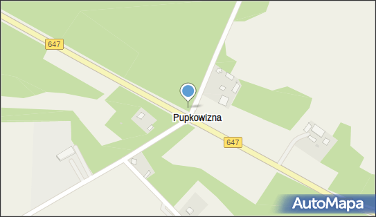 Kapliczka, Figura Świętych, Krzyż, Pupkowizna, Pupkowizna 07-437 - Kapliczka, Figura Świętych, Krzyż