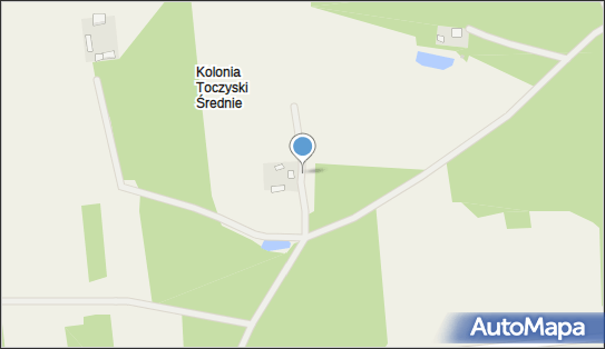 Kapliczka, Figura Świętych, Krzyż, Toczyski Średnie 28 08-304 - Kapliczka, Figura Świętych, Krzyż