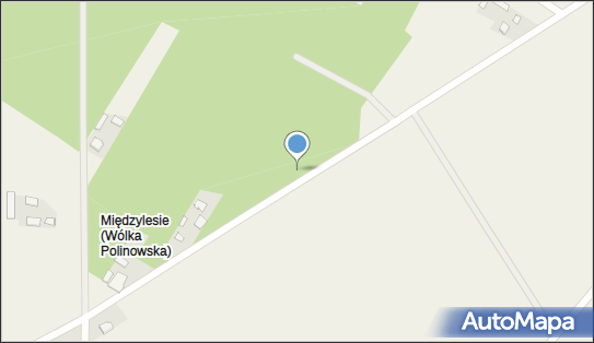 Kapliczka, Figura Świętych, Krzyż, Wólka Polinowska 21-543 - Kapliczka, Figura Świętych, Krzyż