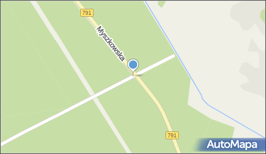 Kapliczka, Figura Świętych, Krzyż, Myszkowska791, Postęp 42-350 - Kapliczka, Figura Świętych, Krzyż