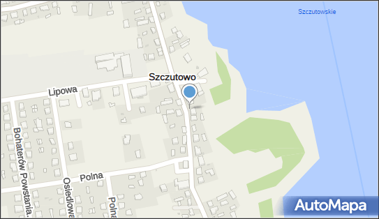 Kapliczka z figurą MB, 3 Maja 31, Szczutowo 09-227 - Kapliczka, Figura Świętych, Krzyż