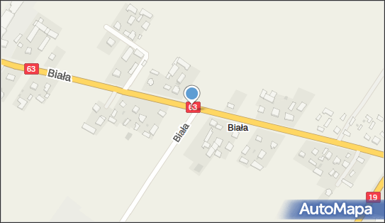 Kapliczka z Matką Boską, Biała, Biała 21-300, 21-301 - Kapliczka, Figura Świętych, Krzyż