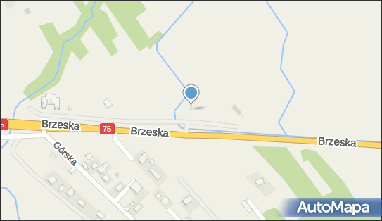 Krzyż, przy drodze E40475, Łazy - Kapliczka, Figura Świętych, Krzyż