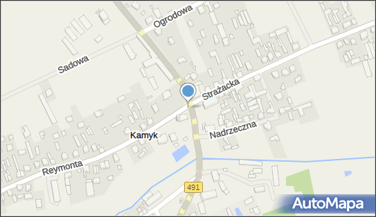 Krzyż, Reymonta Władysława491, Kamyk 42-125 - Kapliczka, Figura Świętych, Krzyż