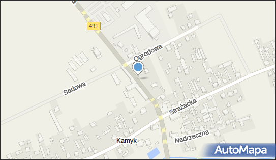 Krzyż, Grunwaldzka491, Kamyk 42-125 - Kapliczka, Figura Świętych, Krzyż