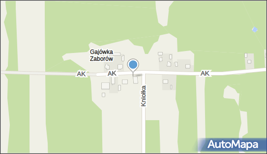 św. Jan Paweł II, Armii Krajowej 17, Wiersze 05-152 - Kapliczka, Figura Świętych, Krzyż