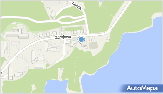 św. Jan Paweł II, Zdrojowa, Polańczyk 38-610 - Kapliczka, Figura Świętych, Krzyż