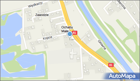 Zajazd Pod Delfinem, 248, Ochaby - Karczma, Gospoda, Zajazd, godziny otwarcia, numer telefonu