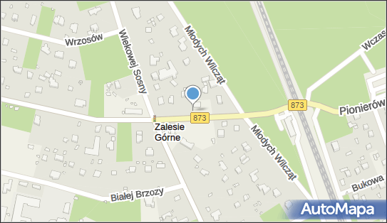 Orman, Pionierów 4, Zalesie Górne 05-540 - Kebab - Bar, godziny otwarcia, numer telefonu