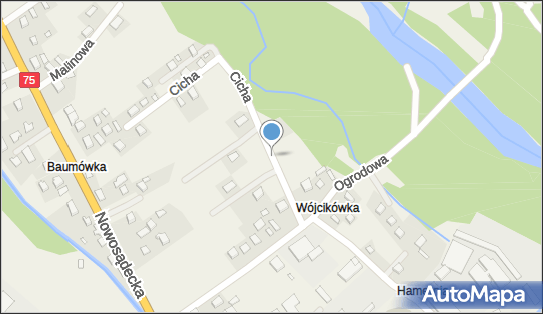 7341014194, Usługi Transportowe Wiesław Zając 