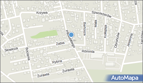 1250503837, Alina Koc Kiosk Wielobranżowy 