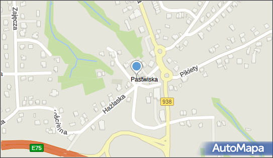 FH Flora, Katowicka 57, Cieszyn 43-400 - Kwiaciarnia, numer telefonu, NIP: 5481055542