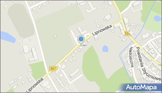 Kwiaciarnia Irys, Lipnowska 9, Rypin 87-500 - Kwiaciarnia, godziny otwarcia, NIP: 8920000190