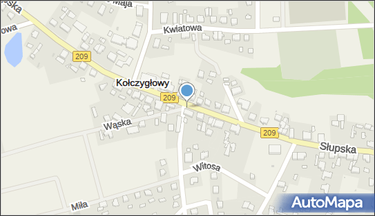 Kwiaciarnia, Słupska 35, Kołczygłowy - Kwiaciarnia