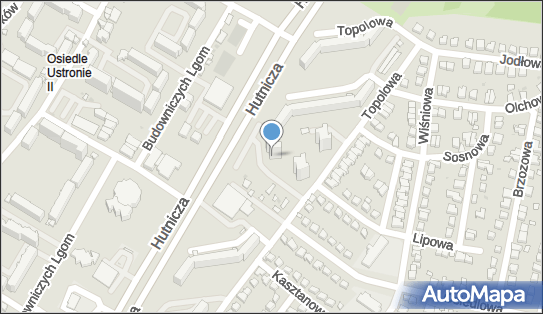 Kwiaciarnia, Topolowa 52, Lubin 59-300 - Kwiaciarnia, NIP: 6921854088
