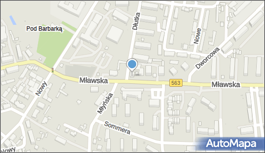 Kwiaciarnia, Mławska 29, Rypin 87-500 - Kwiaciarnia, NIP: 8921015928