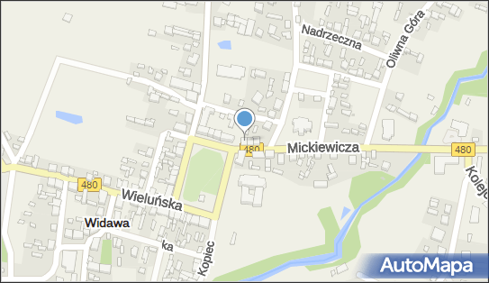 Kwiaciarnia, ul. Mickiewicza 1, Widawa 98-170 - Kwiaciarnia, NIP: 8311227626